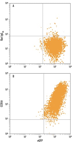 Human CCR10 APC-conjugated Antibody, R D Systems:Antibodies:Primary Antibodies