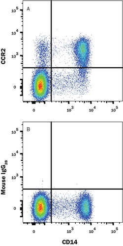 Human CCR2 Biotinylated Antibody, R D Systems 100 Tests; Biotin:Antibodies,