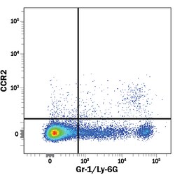 Mouse CCR2 Alexa Fluor 700-conjugated Antibody, R D Systems:Antibodies:Primary