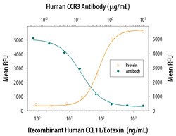 Human CCR3 Antibody, R D Systems 100ug; Unlabeled:Antibodies, Monoclonal
