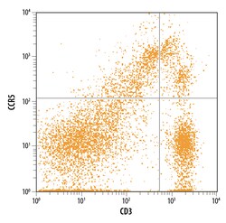 Human/Mouse/Rat CCR5 APC-conjugated Antibody, R D Systems 25 Tests; APC:Antibodies,