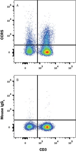 Human/Mouse/Rat CCR5 PE-conjugated Antibody, R D Systems:Antibodies:Primary