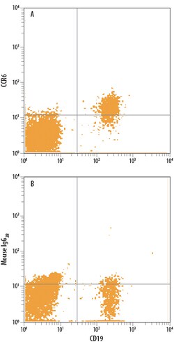 Human CCR6 APC-conjugated Antibody, R D Systems 25 Tests; APC:Antibodies,