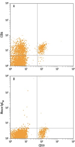 Human CCR6 PerCP-conjugated Antibody, R D Systems 100 Tests; PerCP:Antibodies,