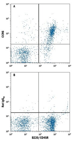 Human/Mouse CCR6 PE-conjugated Antibody, R D Systems:Antibodies:Primary