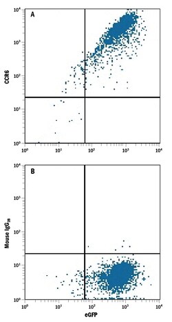 Rat CCR6 PE-conjugated Antibody, R D Systems 25 Tests; PE:Antibodies, Monoclonal