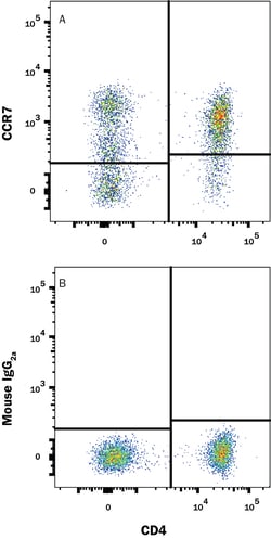 Human CCR7 APC-conjugated Antibody, R D Systems:Antibodies:Primary Antibodies