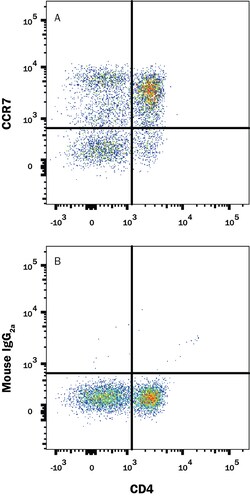 Human CCR7 Fluorescein-conjugated Antibody, R D Systems 100 Tests; Fluorescein:Antibodies,
