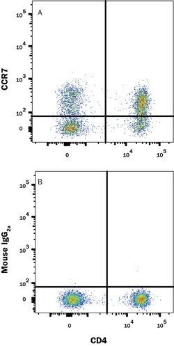 Human CCR7 Alexa Fluor 700-conjugated Antibody, R D Systems:Antibodies:Primary
