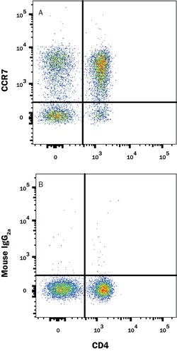 Human CCR7 PE-conjugated Antibody, R D Systems:Antibodies:Primary Antibodies