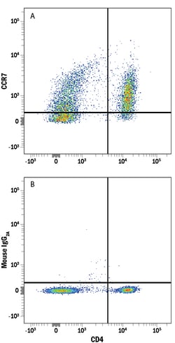 Human CCR7 Alexa Fluor 594-conjugated Antibody, R D Systems 25 Tests; Alexa