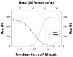 Human CCR7 Antibody, R D Systems 100ug; Unlabeled:Antibodies, Monoclonal