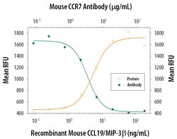 Mouse CCR7 Antibody, R D Systems 100ug; Unlabeled:Antibodies, Monoclonal