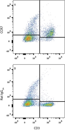 Mouse CCR7 Antibody, R D Systems 100ug; Unlabeled:Antibodies, Monoclonal