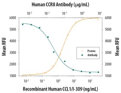 Human CCR8 Antibody, R D Systems 25&mu;g; Unlabeled:Antibodies, Monoclonal