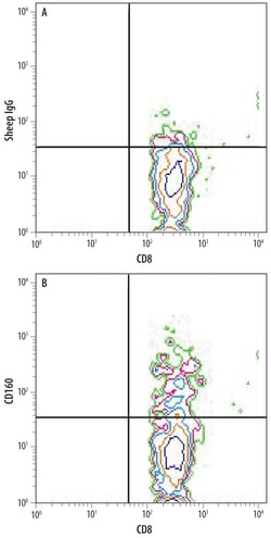 Mouse CD160 Antibody, R D Systems 100&mu;g; Unlabeled:Anticorps, Polyclonal