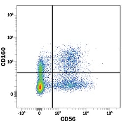 Human CD160 Alexa Fluor 488-conjugated Antibody, R D Systems 100 Tests;