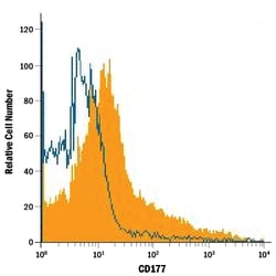 Human CD177 Antibody, R D Systems 25&mu;g; Unlabeled:Antibodies, Polyclonal