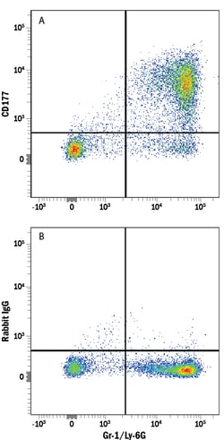 Mouse CD177 Alexa Fluor 488-conjugated Antibody, R D Systems 25 Tests;