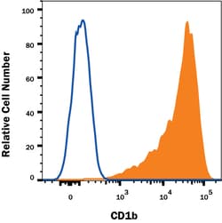 Human CD1b Antibody, R D Systems 25&mu;g; Unlabeled:Antibodies, Monoclonal