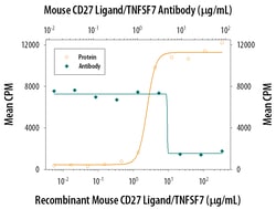 Mouse CD27 Ligand/TNFSF7 Antibody, R D Systems 25&mu;g; Unlabeled:Antibodies,
