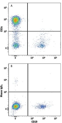 Human CD3 epsilon Alexa Fluor 488-conjugated Antibody, R D Systems 100