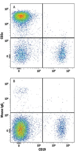 Human CD3 epsilon Alexa Fluor 700-conjugated Antibody, R D Systems 100