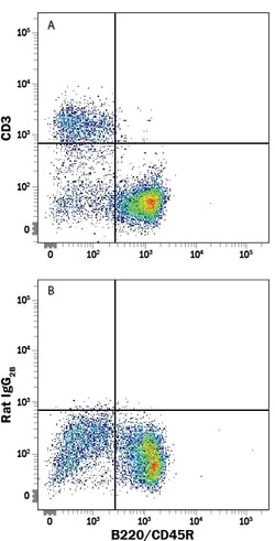 Mouse CD3 Fluorescein-conjugated Antibody, R D Systems 25 Tests; Fluorescein:Antibodies,