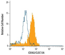 Human CD302/CLEC13A Antibody, R D Systems 100&mu;g; Unlabeled:Antibodies,