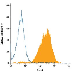 Mouse CD34 Alexa Fluor 488-conjugated Antibody, R D Systems 100 Tests;