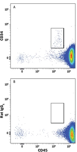 Human CD34 APC-conjugated Antibody, R D Systems 100 Tests | Buy Online | R&D Systems | Fisher Scientific