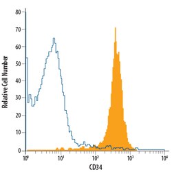 Human CD34 APC-conjugated Antibody, R D Systems 100 Tests | Buy Online | R&D Systems | Fisher Scientific