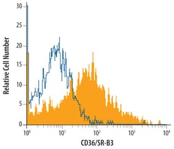 Mouse CD36/SR-B3 Antibody, R D Systems 100&mu;g; Unlabeled:Antibodies,
