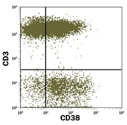Human CD38 Fluorescein-conjugated Antibody, R D Systems 100 Tests; Fluorescein:Antibodies,