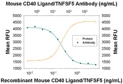 Mouse CD40 Ligand/TNFSF5 Antibody, R D Systems 500ug; Unlabeled:Antibodies,