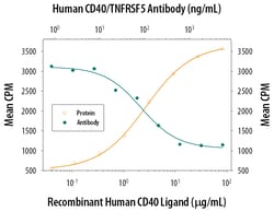 Human CD40/TNFRSF5 Antibody, R D Systems 25 &mu;g | Buy Online | R&D Systems | Fisher Scientific