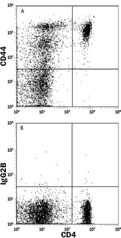 Rat CD44 PE-conjugated Antibody, R D Systems 100 Tests | Buy Online | R&D Systems | Fisher Scientific