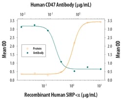 Human CD47 Antibody, R D Systems 100&mu;g; Unlabeled:Antibodies, Polyclonal