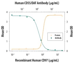 Human CD55/DAF Antibody, R D Systems 25&mu;g; Unlabeled:Antibodies, Monoclonal