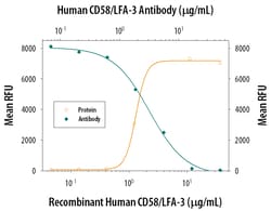 Human CD58/LFA-3 Antibody, R D Systems 100&mu;g; Unlabeled:Antikörper