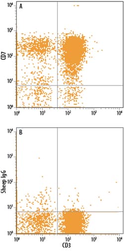 Human CD7 Antibody, R D Systems 25&mu;g; Unlabeled:Antibodies, Polyclonal