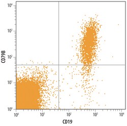 Human CD79B Antibody, R D Systems 25&mu;g; Unlabeled:Antibodies, Polyclonal
