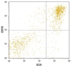 Mouse CD79B Antibody, R D Systems 100&mu;g; Unlabeled:Antibodies, Polyclonal