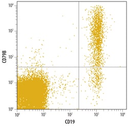 Human CD79B Antibody, R D Systems 25&mu;g; Unlabeled:Antibodies, Monoclonal