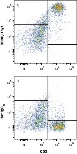 Mouse CD90/Thy1 Antibody, R D Systems 100ug; Unlabeled:Antibodies, Monoclonal