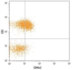 Human CD96v2 Antibody, R D Systems 25&mu;g; Unlabeled:Antibodies, Monoclonal