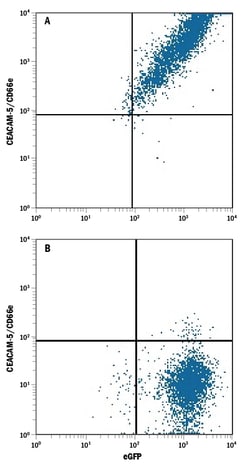Human CEACAM-5/CD66e APC-conjugated Antibody, R D Systems 100 Tests; APC:Antibodies,