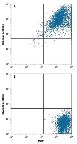 Human CEACAM-6/CD66c APC-conjugated Antibody, R D Systems 100 Tests; APC:Antibodies,