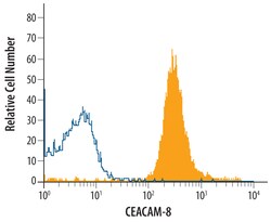 Human CEACAM-8/CD66b Antibody, R D Systems 25&mu;g; Unlabeled:Antibodies,