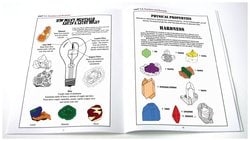 The World of Minerals and Crystals Workbook